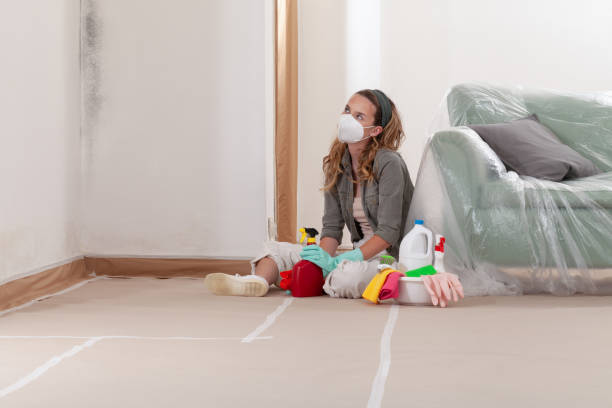 Reliable Mold Cleanup contractor in Island Lake, IL by Cheap Mold Removal